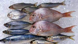 ماذا يحدث لجسمك عند تناول الأسماك في الشتاء؟ اليك الإجابة المذهلة الغير متوقعة ؟