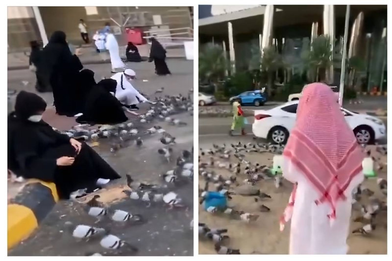 السعودية.. الكشف عن قيمة مخالفة إلقاء الأطعمة للحمام والحيوانات على الأرصفة