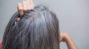"اقضِ نهاية الشعرالأبيض بوصفة سحرية من زيت القرنفل في 30 دقيقة فقط، واستعيد لون شعرك 